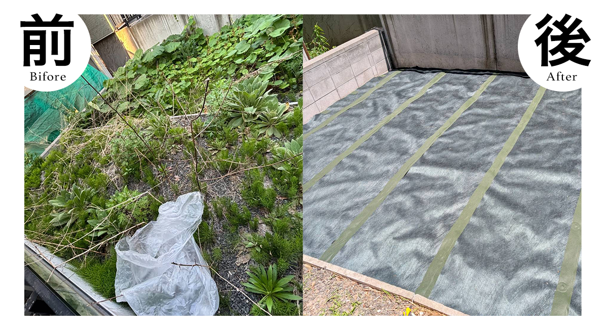 防草シートのビフォーアフター画像