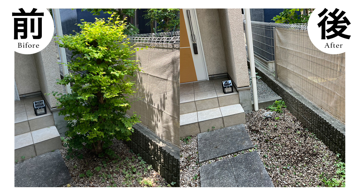 清田区の伐採ビフォーアフター