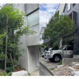 白石区の伐採ビフォーアフター